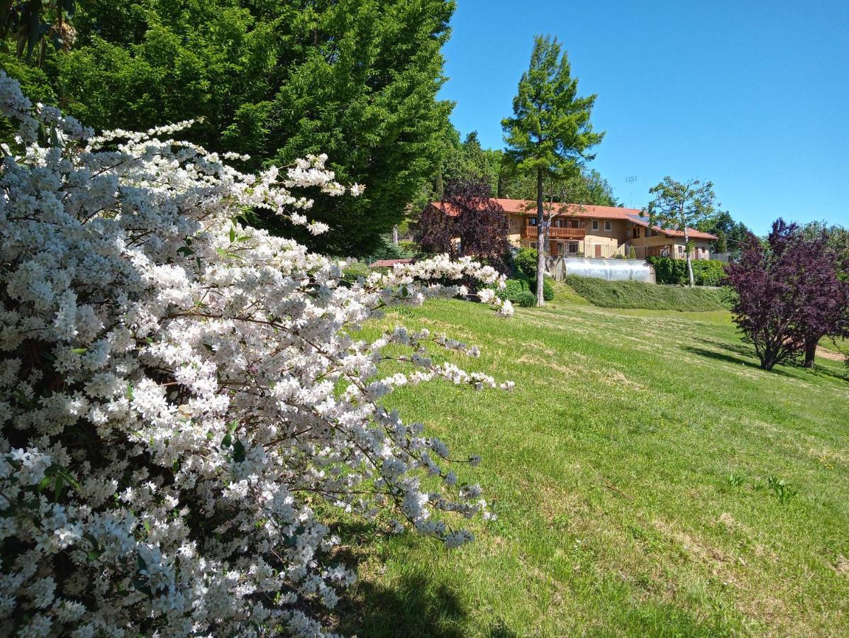 L'Albore Costigliole Saluzzo Extérieur photo